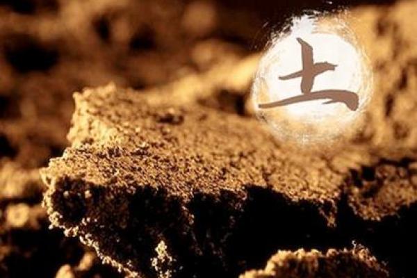 桑松木命的性格特征与命理禁忌探讨 桑松木命的性格特征与命理禁忌探讨