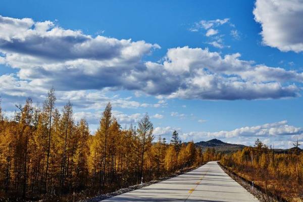 桑柘木命与相合命理：和谐共生的生命之旅