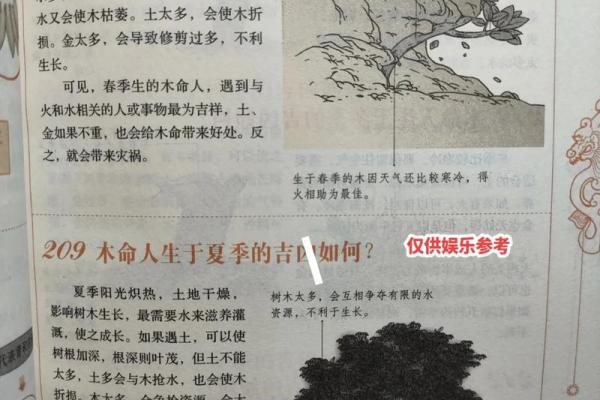 木命人的命名之道：从字义看取名的智慧与方法