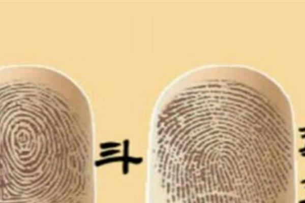 解读女性手中的十个螺：命运与人生的奥秘