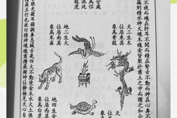 揭秘朱雀命与青鸾命的神秘世界！探寻命理与性格的奥秘