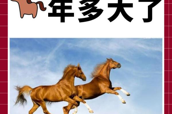 属马人最适合的命格：如何找到人生中的最佳发展方向