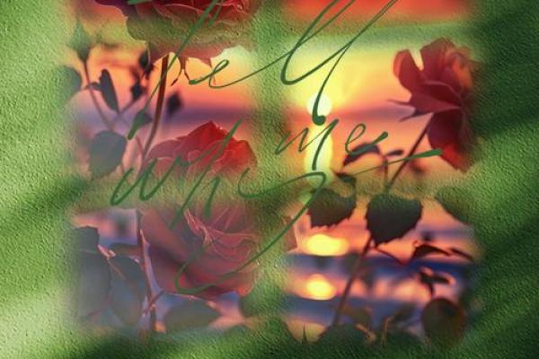 逆天改命的剑修之路：选择你的剑，开启无尽冒险！