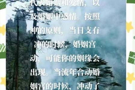 女命夫妻宫桃花多，爱情运势逆袭的秘密