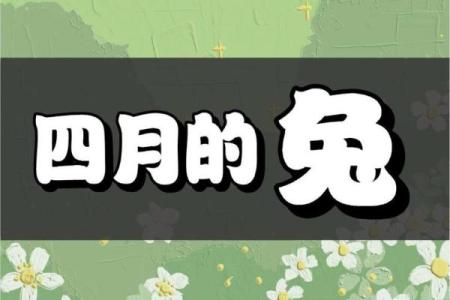 2023年出生的人命运分析：揭示属兔人的性格与运势