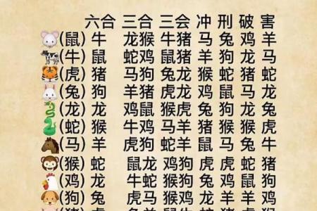 根据属相解析男人的命运与性格特点