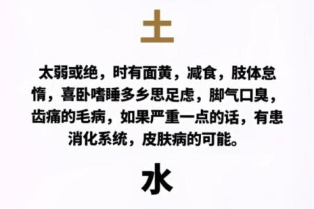 如何通过五行命理理解金木水火的命运玄机