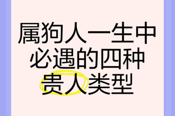 1970年属狗人的命运解析：爱情、事业与财富的全面解读