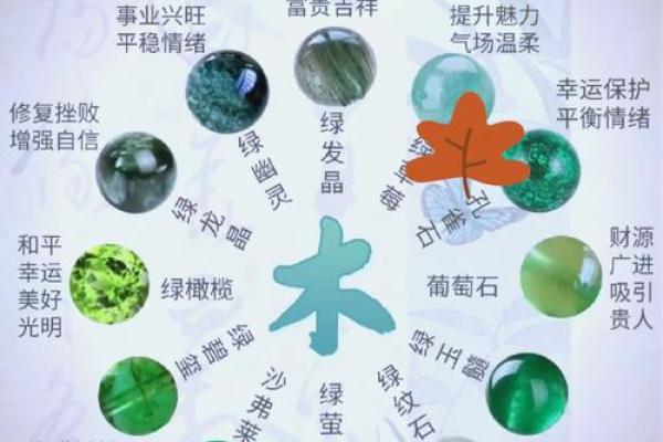 木命五行解读:什么属性最适合木命人? 木命五行解读:什么属性最适合木命人?