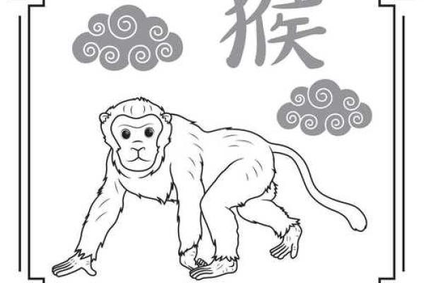 属猴女孩的五行命理解析：适合的命理与生活指南