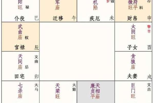 女命太阳入官禄宫，命理中的光辉与机遇