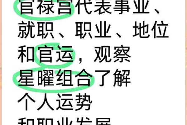 女命太阳入官禄宫，命理中的光辉与机遇