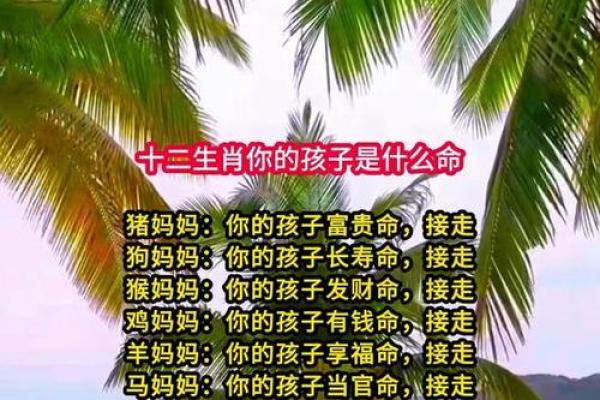 如何选择宝宝的属相,给孩子最好的命运! 如何选择宝宝的属相,给孩子最好的命运!