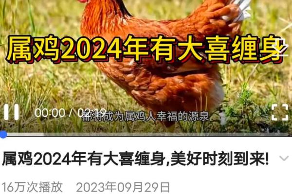 属鸡人的命运解析:2017年的运势与机遇 属鸡人的命运解析:2017年的运势与机遇