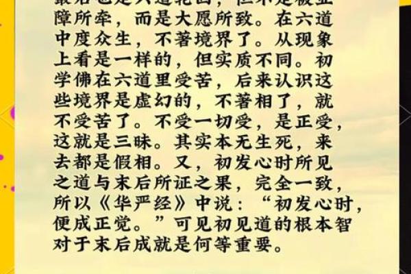什么样的人有大拇指和佛眼的命:命理揭秘与人生启示 什么样的人有大拇指和佛眼的命:命理揭秘与人生启示