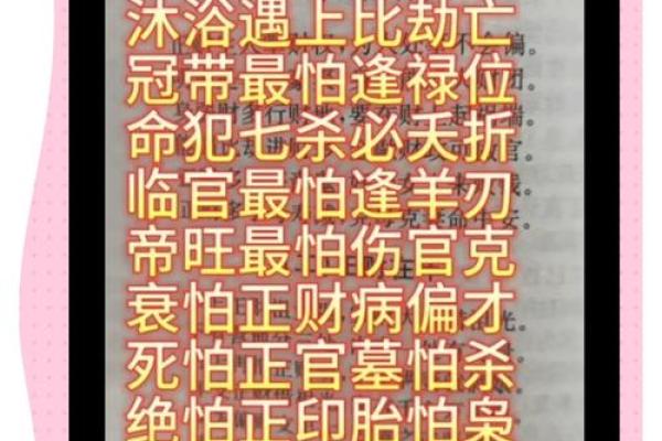 女命十神与男命的心理解析：命理背后的深层联系