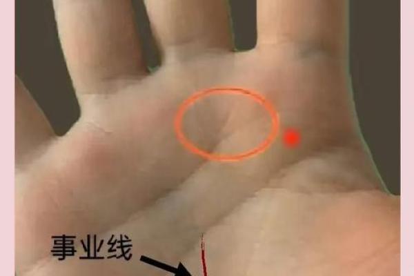 手相中的方格纹：揭示你命运的秘密！