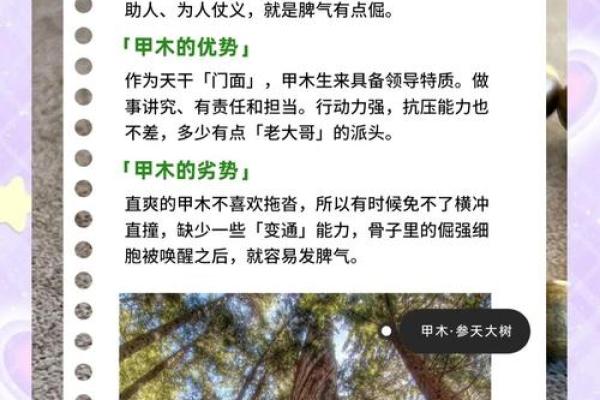 揭秘木命人的命格特征与生活哲学 揭秘木命人的命格特征与生活哲学