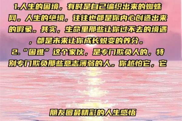 属兔31岁：命理解析与人生展望，活出精彩人生的秘密！