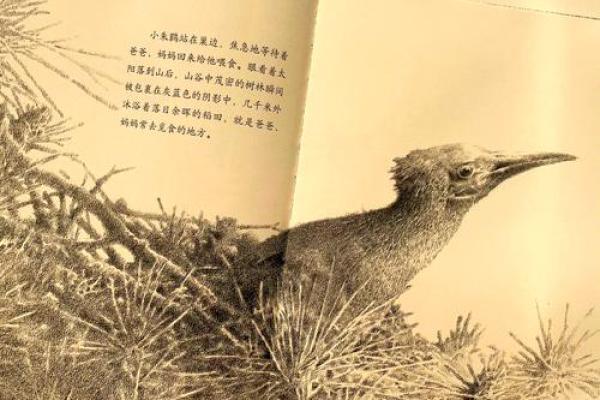 木命与山头相合的秘密：探索自然与命理的和谐之道