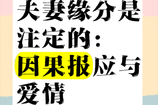平等命理背后的深意:命运如何与平等相交织? 平等命理背后的深意:命运如何与平等相交织?