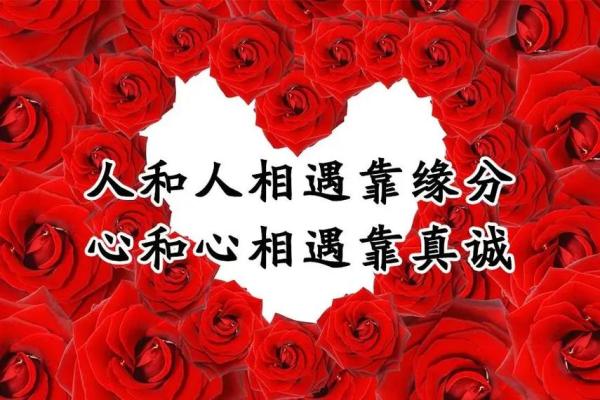 什么命与什么命结婚最合适，让爱情持久幸福？