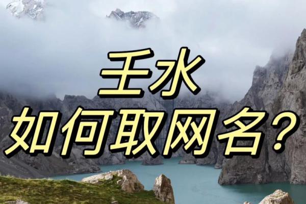 壬水命与财运：寻求理想配合的命理之道