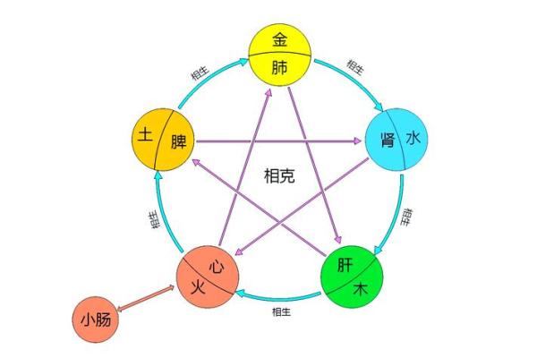 如何通过命局五行分析，找到生命的缺失与平衡之道