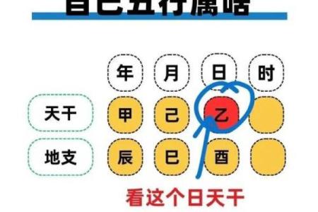 木命五行解读：什么属性最适合木命人？