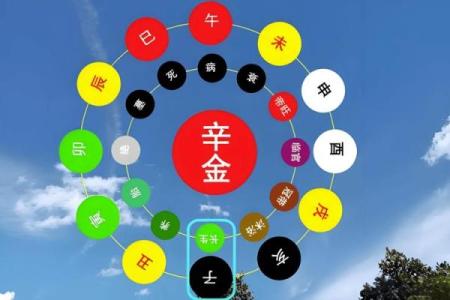 命理中的金命合财：女性如何运用命理迎财运