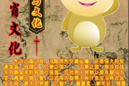 属马二月出生的人，命理解析与运势揭秘