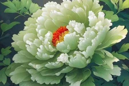 什么花象征一生富贵？探寻花卉背后的财富寓意！