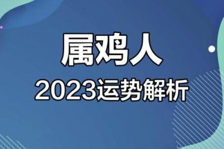 属鸡人的命运解析：2017年的运势与机遇