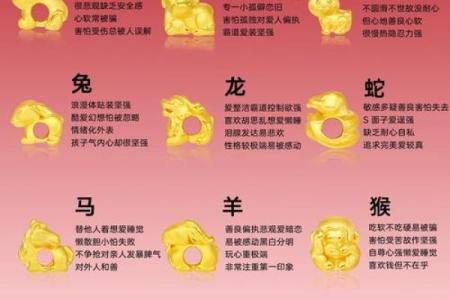揭秘十二生肖女性的命运归属与性格特点