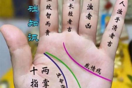 手纹清晰象征命运，揭示生命奥秘与个性特征