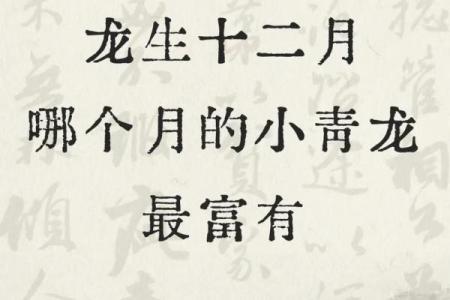 属龙的十岁命运解析：如何发挥龙年宝宝的潜力