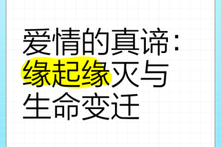 什么样的感情叫二婚命？探索重生与爱的真谛！