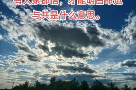 揭开命理学的神秘面纱：探索命与运的奥秘