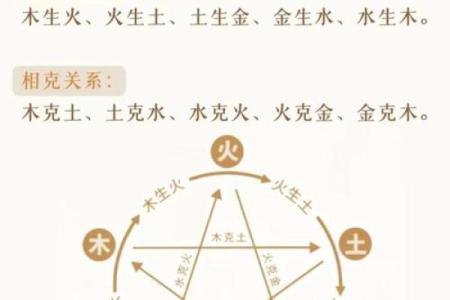 如何通过命局五行分析，找到生命的缺失与平衡之道