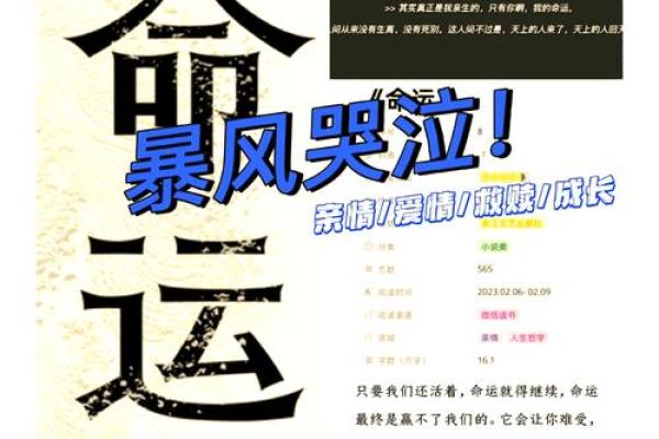 伤官过多,命运之变:如何平衡人生中的种种挑战与机遇 伤官过多,命运之变:如何平衡人生中的种种挑战与机遇
