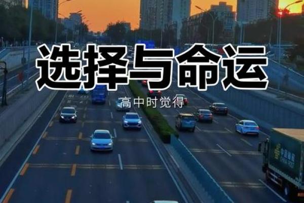 命运与选择：探讨人生的必然与偶然