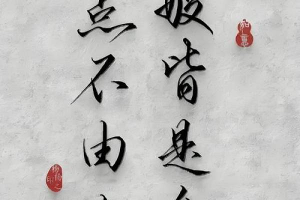 从“乃命以位”看人生的选择与责任