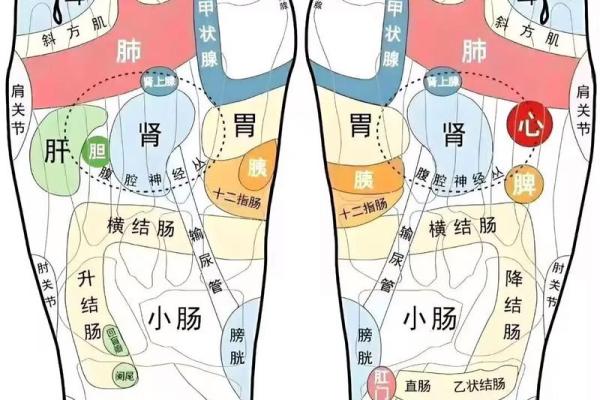 女人左脚有痣，揭晓你的命运秘密与生活智慧！