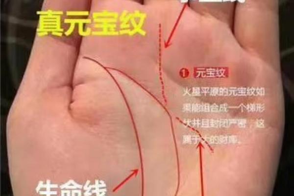 手相揭秘:拥有小元宝的人生运势与命理解析 手相揭秘:拥有小元宝的人生运势与命理解析