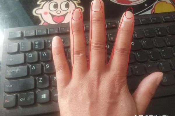 手指形态揭秘：细下胖的命运与性格解析
