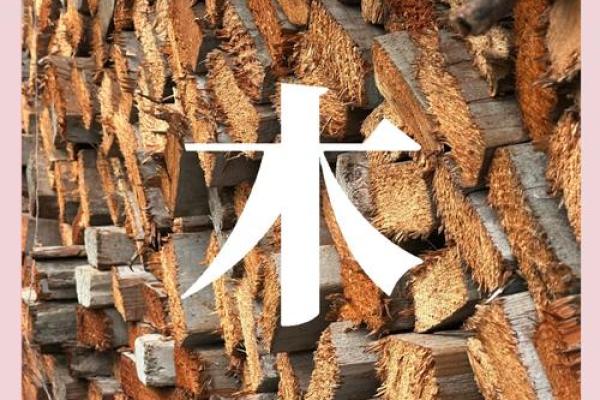 木命人与最佳命理配对:寻觅心灵契合的伴侣之道 木命人与最佳命理配对:寻觅心灵契合的伴侣之道