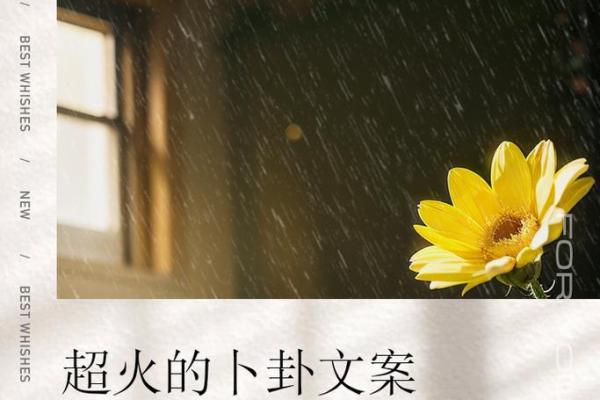 揭秘双马破槽命——探寻命理中的神秘象征 揭秘双马破槽命——探寻命理中的神秘象征