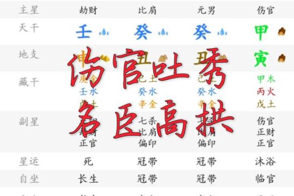 女命中的伤官吐秀：解析与启示