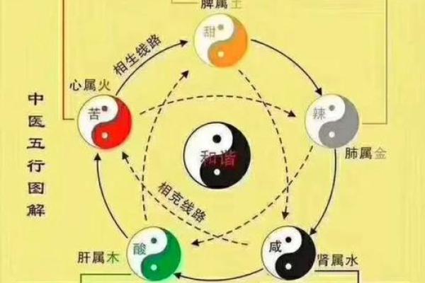 解密女命中偏印的奥秘：她们如何在命理世界中驰骋自如？