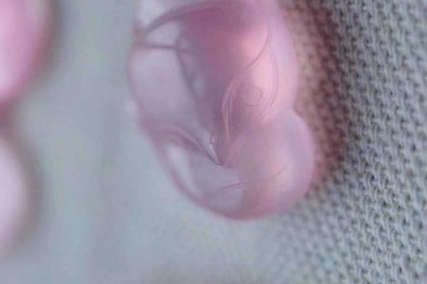 揭开狐仙之谜:什么样的女命引得她倾心相伴? 揭开狐仙之谜:什么样的女命引得她倾心相伴?